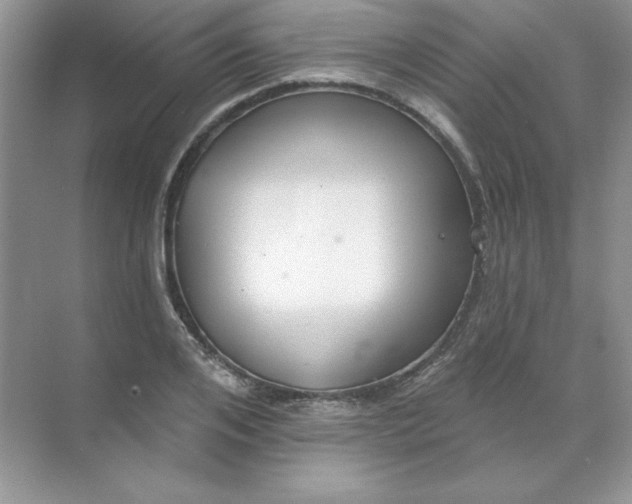 X0000071960984200607212248