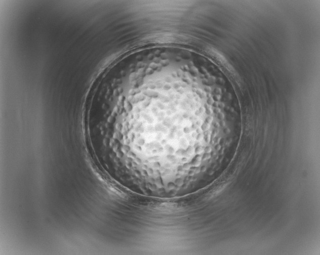 X0000071960986200607212248