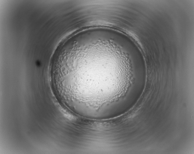 X0000071960987200607212248