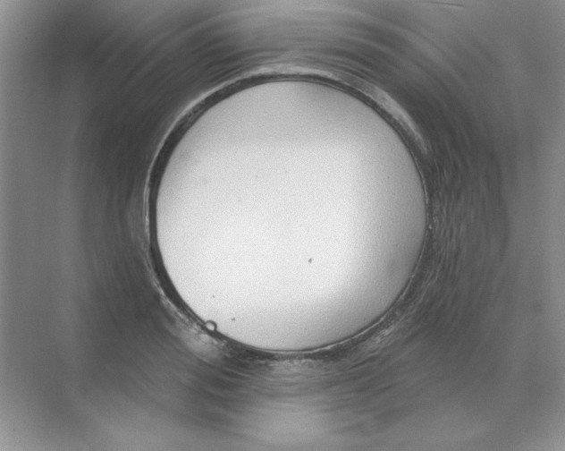 X0000071960988200607212248