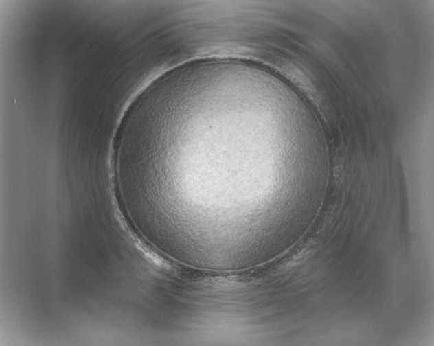 X0000071960990200607212248