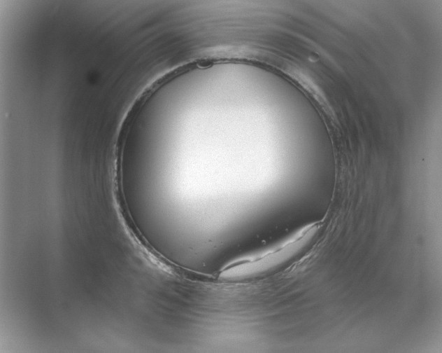 X0000071960992200607212248