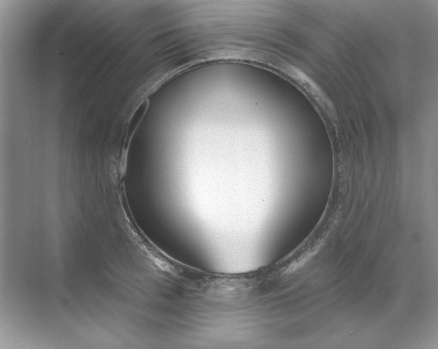 X0000071960993200607212248