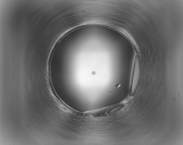 X0000071960996200607212247