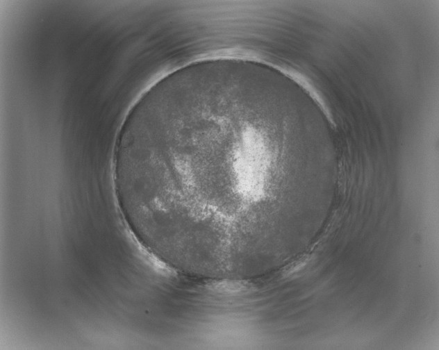 X0000071960998200607212247