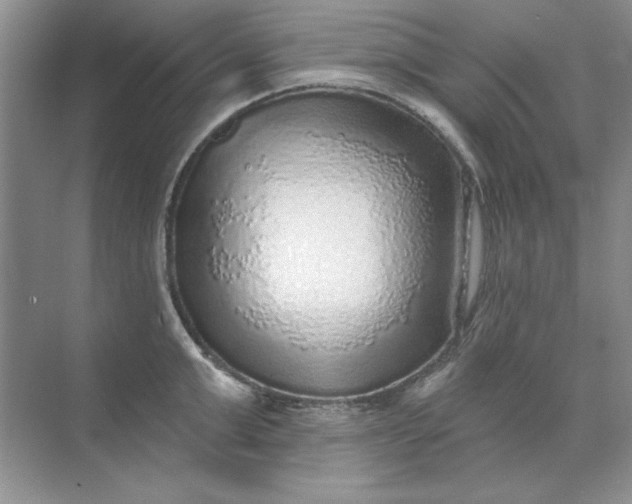 X0000071960999200607212247