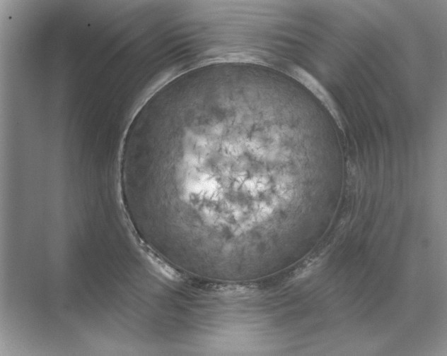 X0000071961002200607212247