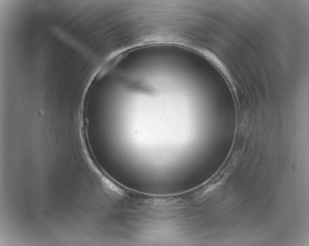 X0000071961005200607212247