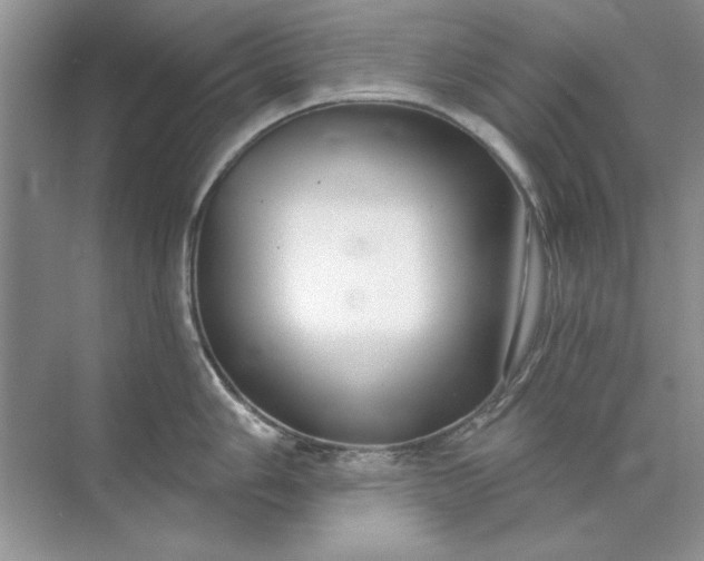 X0000071961006200607212247