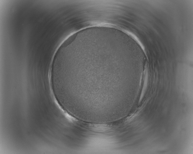 X0000071961007200607212247