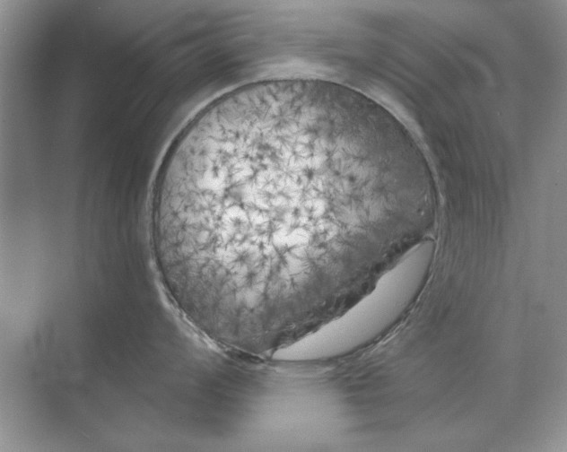 X0000071961008200607212247