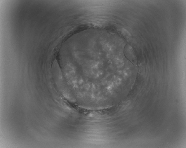 X0000071961009200607212246