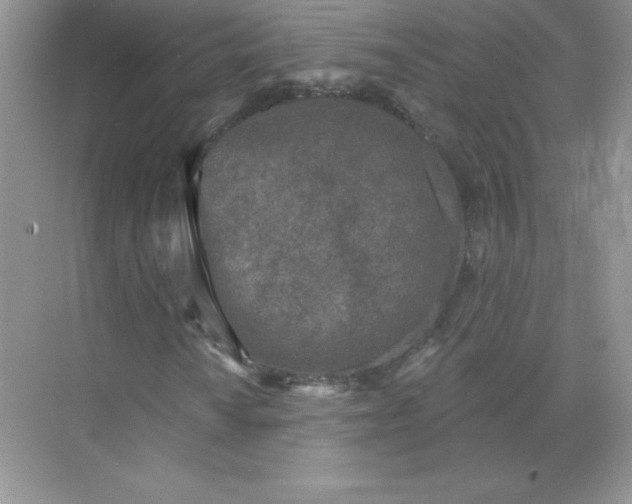 X0000071961010200607212246