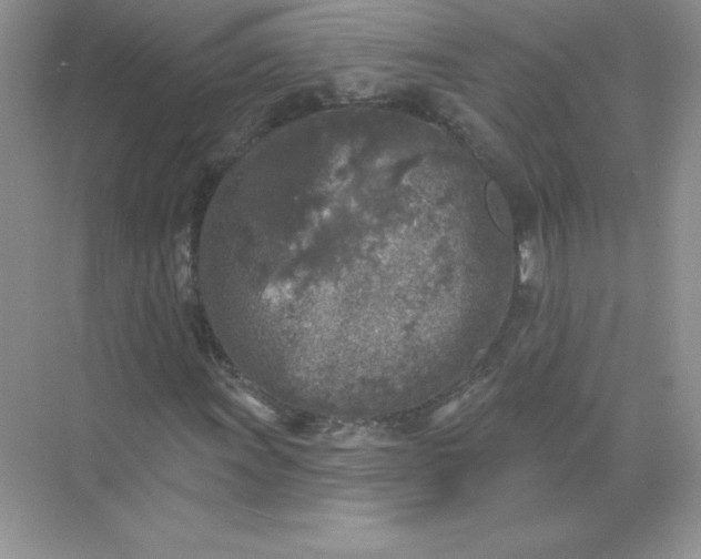 X0000071961011200607212246