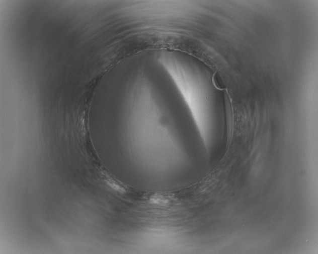 X0000071961013200607212247