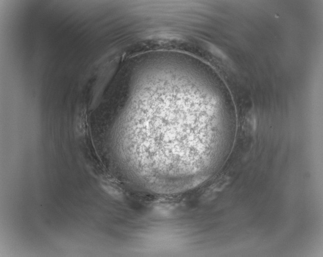 X0000071961014200607212247