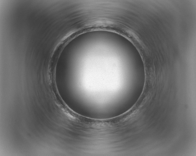 X0000071961018200607212247