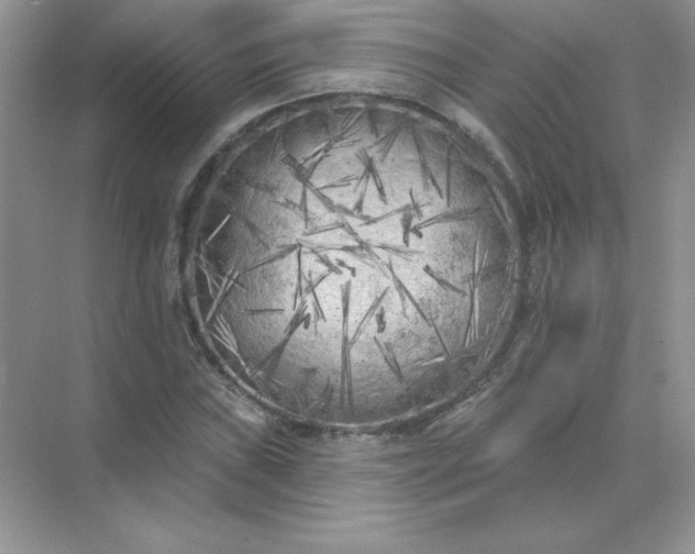 X0000071961019200607212247