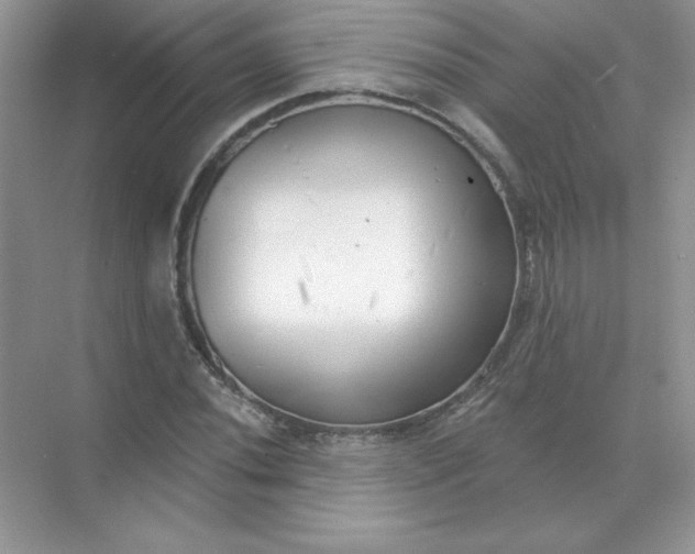 X0000071961020200607212247