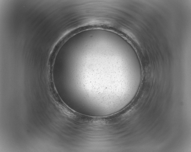 X0000071961021200607212247