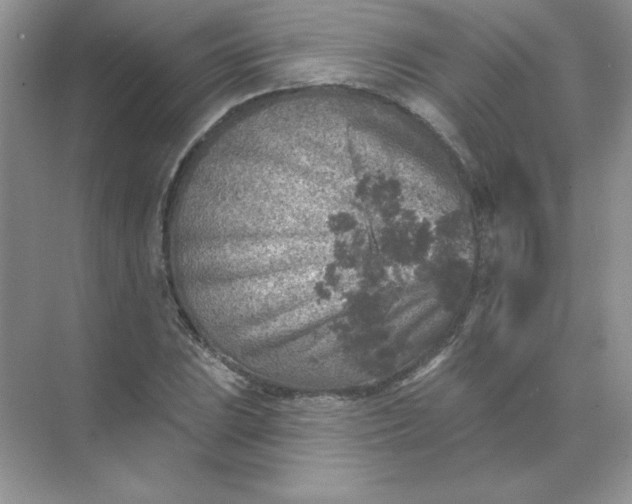 X0000071961023200607212247