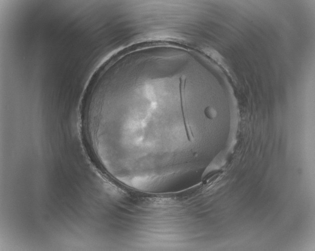 X0000071961024200607212247