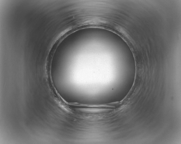 X0000071961026200607212247