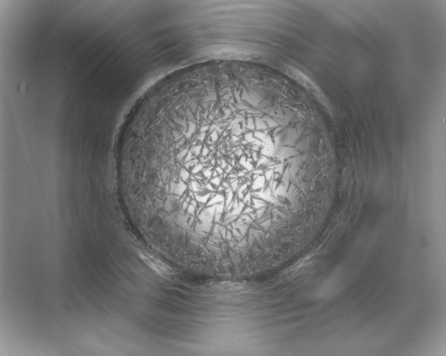 X0000071961027200607212247