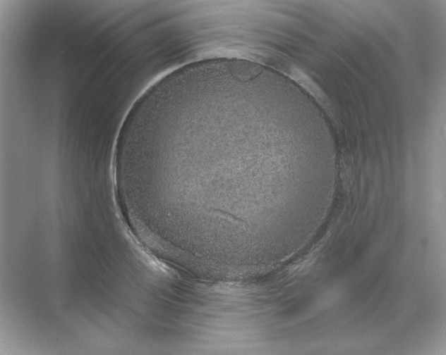 X0000071961028200607212247