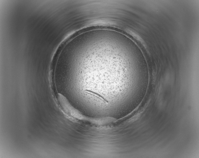 X0000071961029200607212247