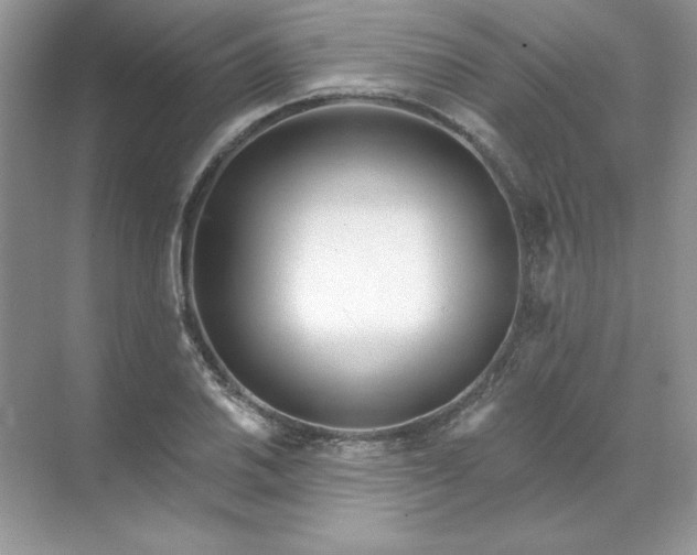 X0000071961030200607212247