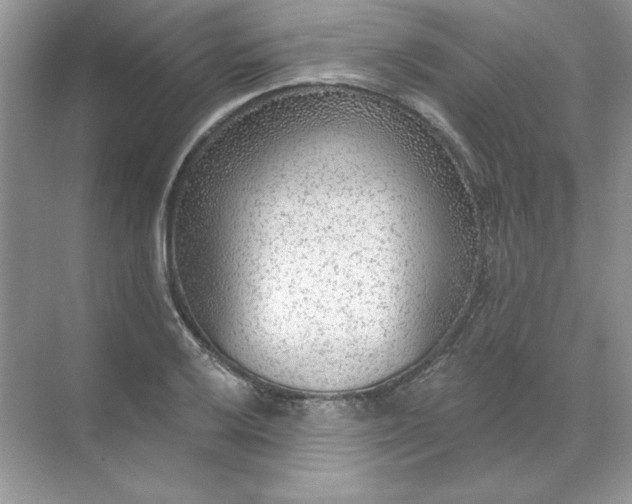 X0000071961032200607212247