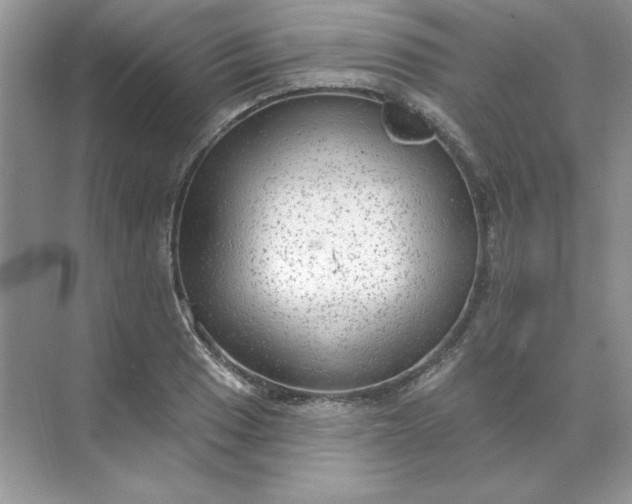 X0000071961033200607212247