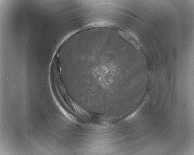 X0000071961034200607212247