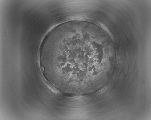 X0000071961035200607212247