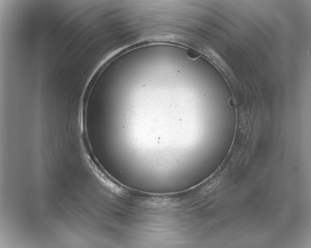 X0000071961036200607212247