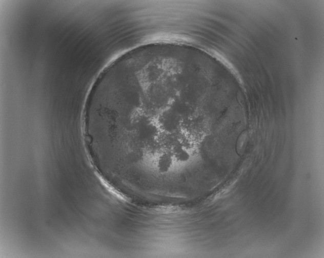 X0000071961037200607212247