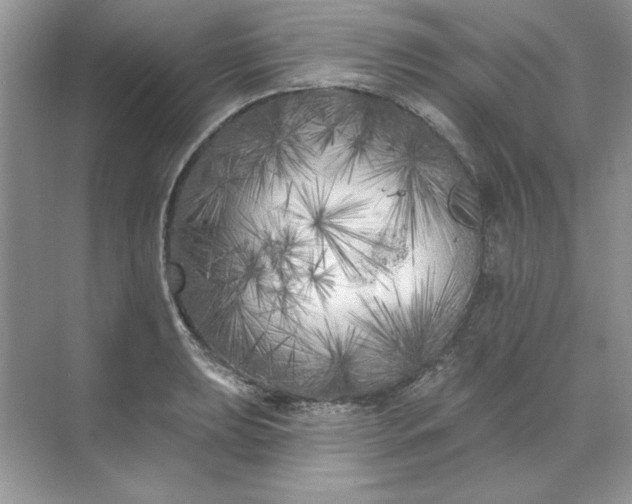 X0000071961039200607212247