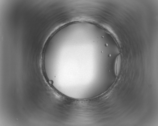 X0000071961040200607212247