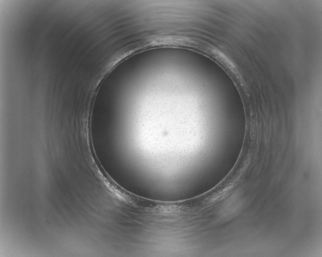 X0000071961041200607212247