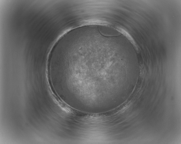 X0000071961043200607212247