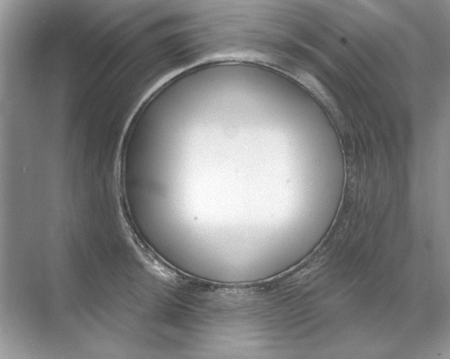 X0000071961044200607212247