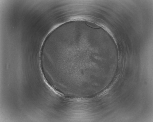 X0000071961045200607212247