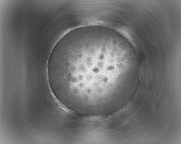 X0000071961047200607212247