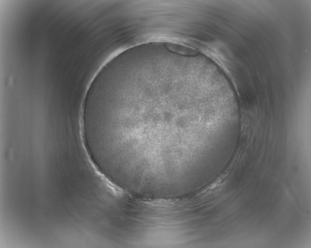 X0000071961048200607212247