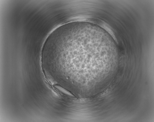 X0000071961051200607212247