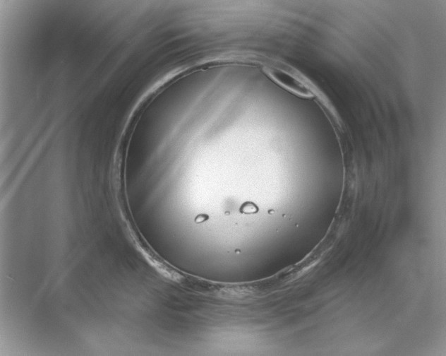 X0000071961053200607212247