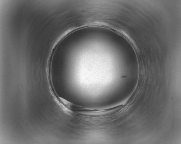 X0000071961054200607212247