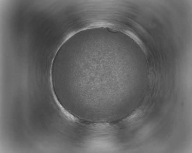 X0000071961055200607212247