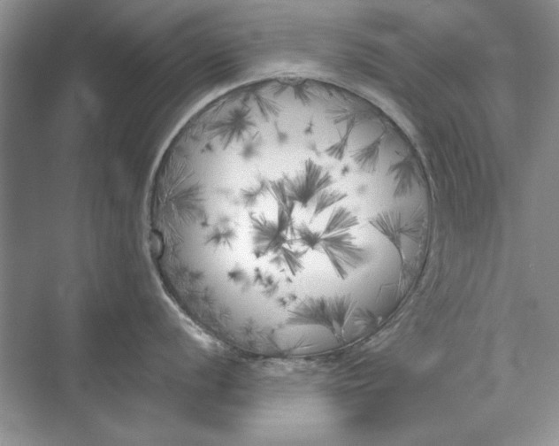 X0000071961056200607212247